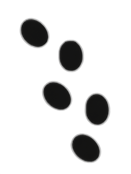File:Cait Foot.png