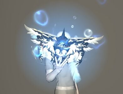 Endless Expanse Codex