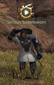 Serious Sultansworn