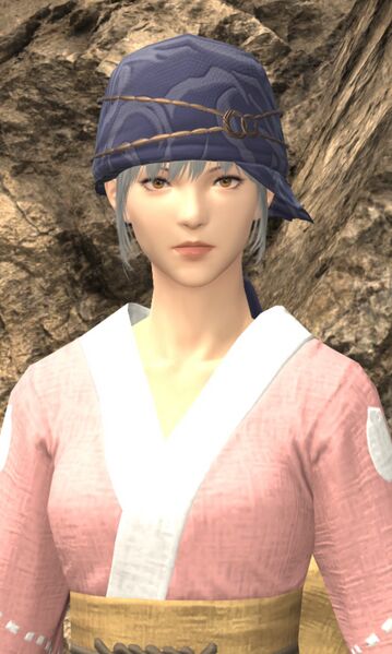 File:Busy Beachcomber.jpg