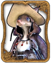 Memeroon Card