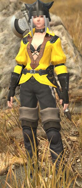 File:Yellowjacket Captain fullbody.jpg