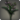 Black lilies of the valley icon1.png