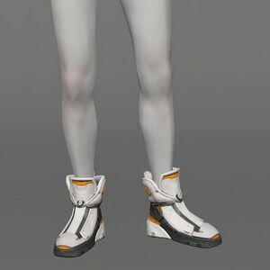 Cosmic Explorer's Boots