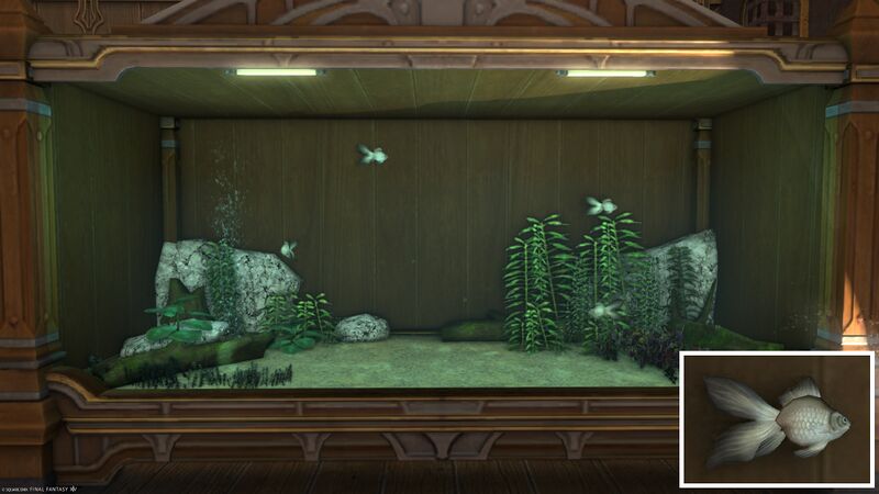 File:Aquarium Preview Bubble Eye.jpg