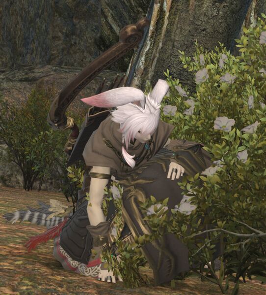 File:Fanow Huntress.jpg