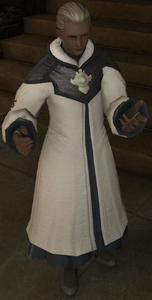 Phrontistery Chirurgeon