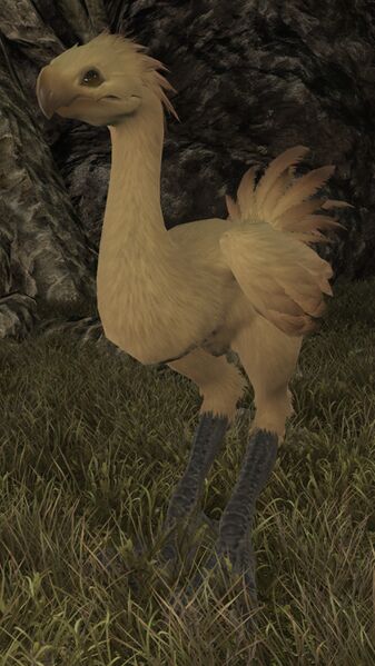 File:Bull Chocobo.jpg