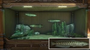 Three Judgment Staves in a Tier 4 Aquarium with a close-up.