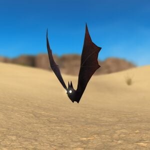 Bat