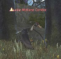 Midland-Condor.jpg