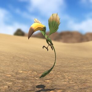 Colibri Glamoured