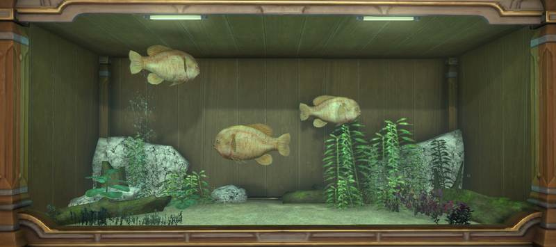 File:Longear Sunfish tank 1.png