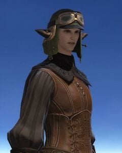 Candid Skyfarer