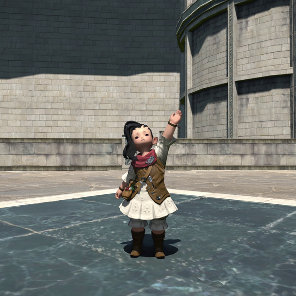 File:Comfort Emote.png