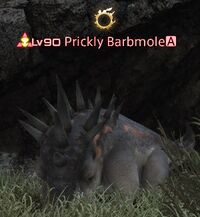 Prickly Barbmole.jpg