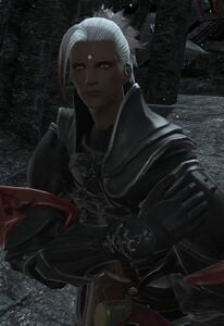 The Emperor's Personal Guard