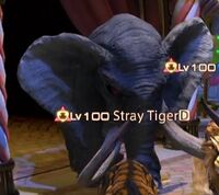 Stray Elephant.jpg