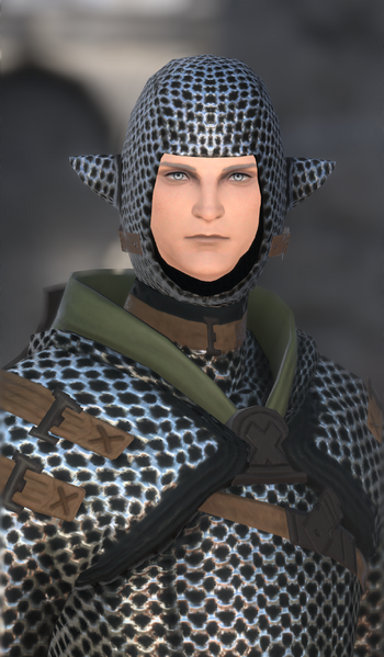 File:House Haillenarte Knight 1.png