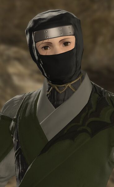 File:Liberation Front Sentry.jpg