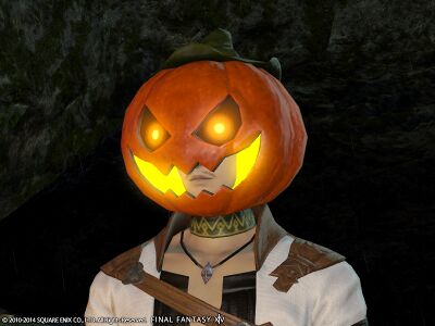 Ripened pumpkin head img2.jpg