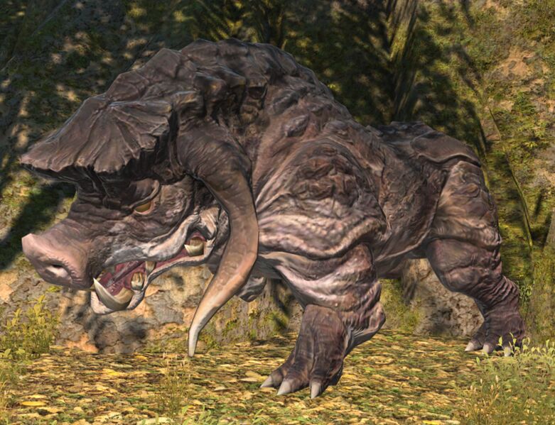File:Angry Sow.jpg