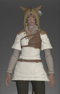 Ranger's Tunic front.png