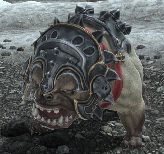 File:Stray Canis Pugnax.jpg