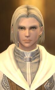 Adventurers' Guild Emissary