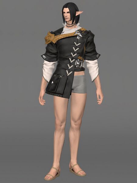 File:Elezen Surcoat Male.jpeg
