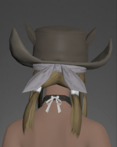 Valkyrie's Hat of Healing rear.png