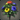 Rare Flowers