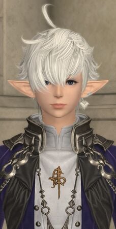 Portrait for Endwalker