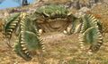 Thumbnail for version as of 09:35, 16 May 2026