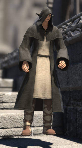 File:Squinty-eyed Loiterer 4.png