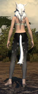Starlight Tights back (female).png
