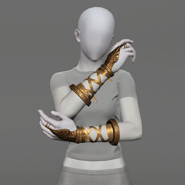 File:Wristwraps of Legend Female.jpeg