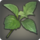 Young galago mint icon1.png