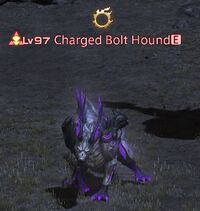 Charged Bolt Hound.jpg