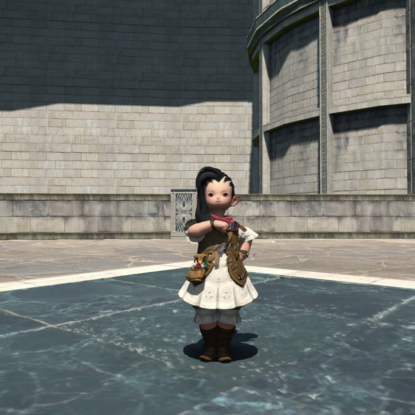 File:Flame Salute Emote.png