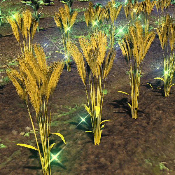 File:Island Wheat Top.png