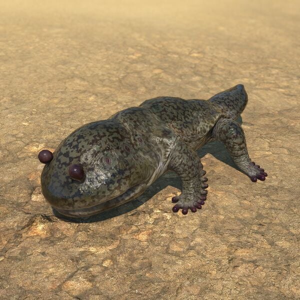 File:Salamander (Beast) Glamoured.jpeg