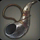 Blessed Horn