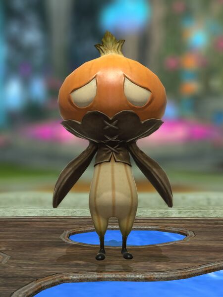 File:Dungeon Onion.jpeg
