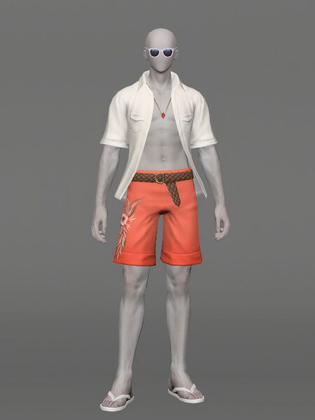 File:Endless Summer Attire Male.jpeg