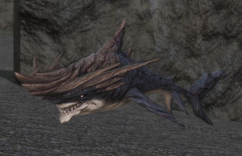 File:Shark out of Water.jpg