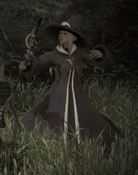 File:Hired Thaumaturge.jpg