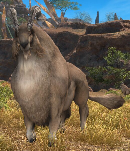 File:Longhorn Billygoat.jpg