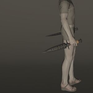 Storm Private's Baselards