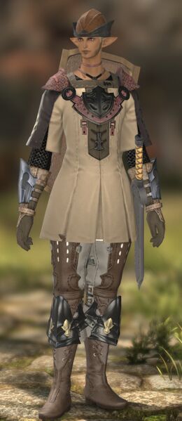 File:Unsettled Sellsword fullbody.jpg